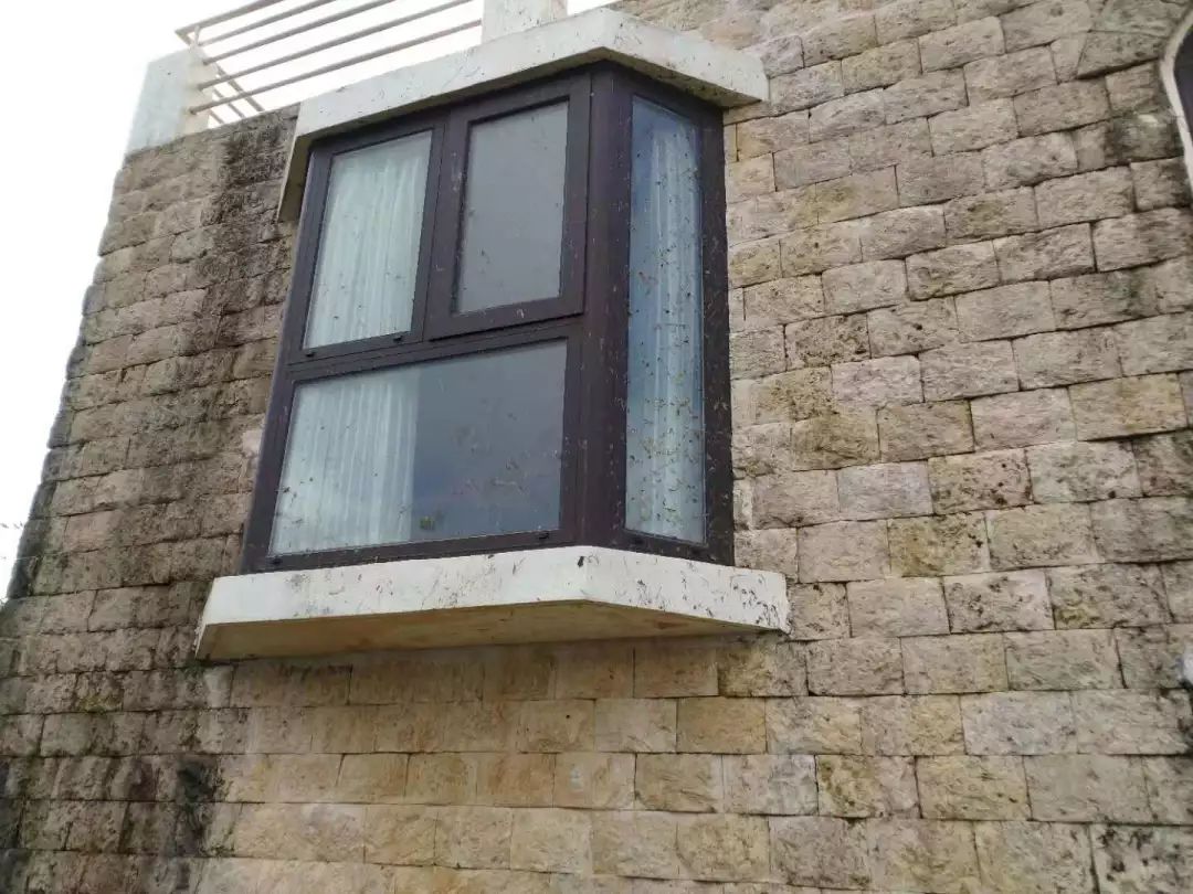 1542095827122098.jpg a9574786feba5575a5f5addb87eb3ba1.jpg